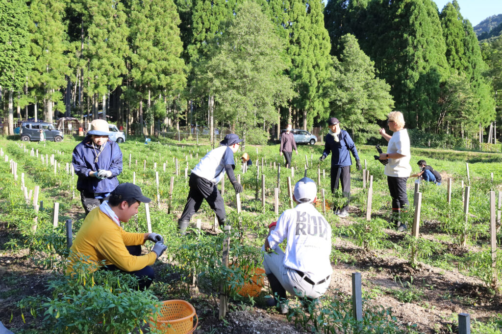 福祉とデザイン研究会　滋賀県長浜市 グッジョブ×ジョブ